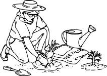 plant
