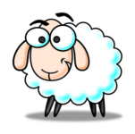 sheep