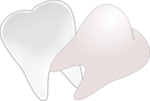 tooth