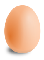 egg